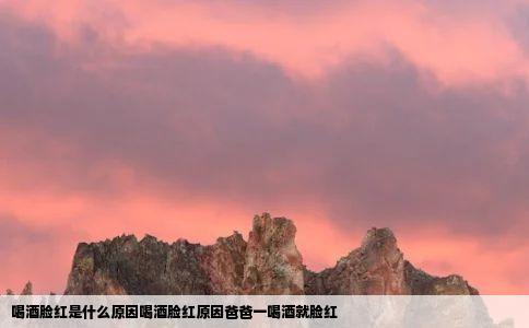 喝酒脸红是什么原因喝酒脸红原因爸爸一喝酒就脸红