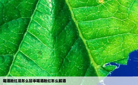 喝酒脸红是怎么回事喝酒脸红怎么解酒