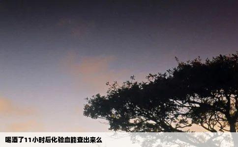 喝酒了11小时后化验血能查出来么