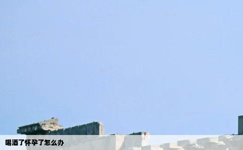 喝酒了怀孕了怎么办