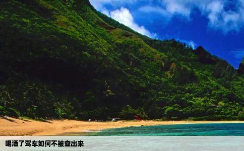 喝酒了驾车如何不被查出来