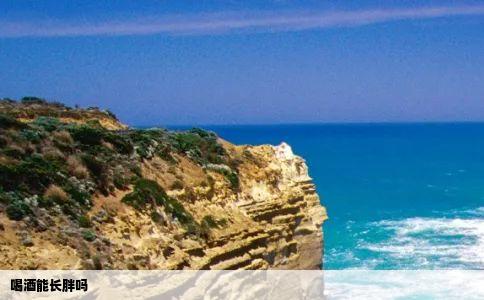 喝酒能长胖吗
