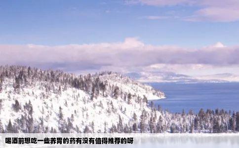 喝酒前想吃一些养胃的药有没有值得推荐的呀