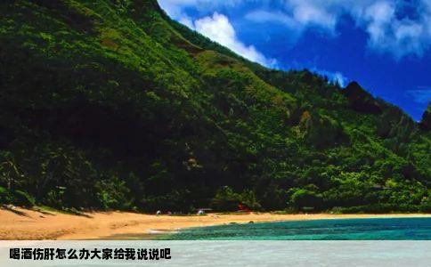 喝酒伤肝怎么办大家给我说说吧