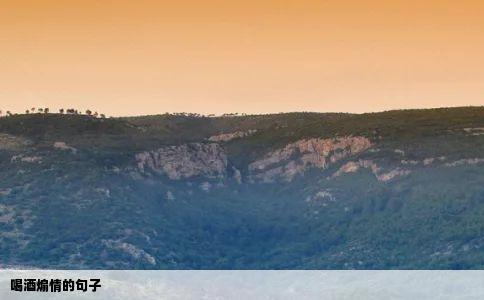 喝酒煽情的句子