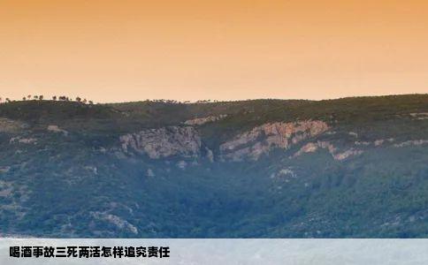 喝酒事故三死两活怎样追究责任