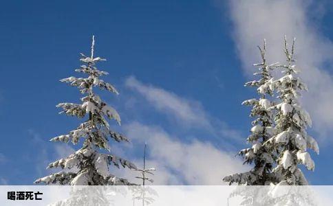 喝酒死亡