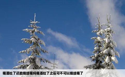 喝酒吐了还能继续喝吗喝酒吐了之后可不可以继续喝了