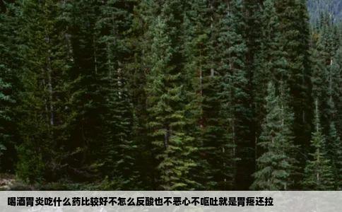 喝酒胃炎吃什么药比较好不怎么反酸也不恶心不呕吐就是胃疼还拉