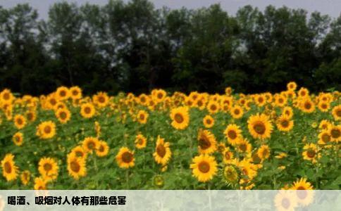 喝酒、吸烟对人体有那些危害