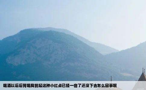 喝酒以后后背喝胸前起这种小红点已经一宿了还没下去怎么回事啊