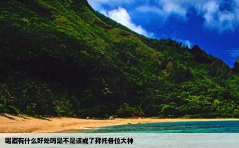 喝酒有什么好处吗是不是该戒了拜托各位大神