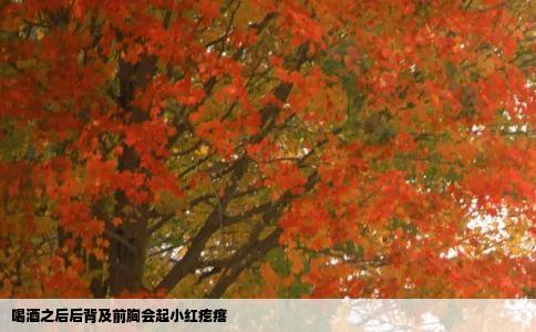喝酒之后后背及前胸会起小红疙瘩
