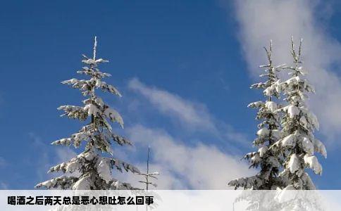 喝酒之后两天总是恶心想吐怎么回事