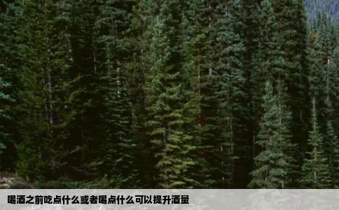 喝酒之前吃点什么或者喝点什么可以提升酒量
