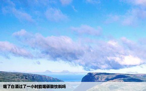 喝了白酒过了一小时能喝碳酸饮料吗