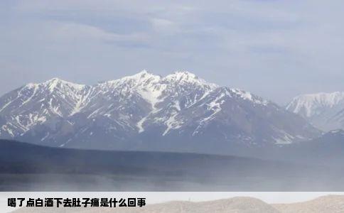 喝了点白酒下去肚子痛是什么回事