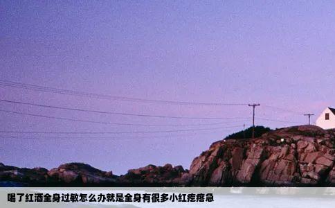 喝了红酒全身过敏怎么办就是全身有很多小红疙瘩急