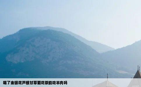 喝了金银花芦根甘草菊花茶能吃羊肉吗