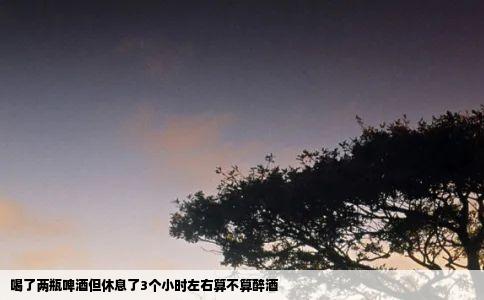 喝了两瓶啤酒但休息了3个小时左右算不算醉酒