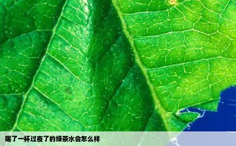 喝了一杯过夜了的绿茶水会怎么样
