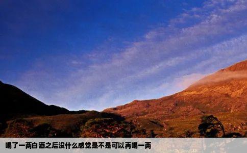 喝了一两白酒之后没什么感觉是不是可以再喝一两
