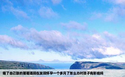 喝了自己酿的葡萄酒现在发现怀孕一个多月了怎么办对孩子有影响吗