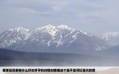 喝茉莉花茶有什么好处怀孕的时候时候喝这个是不是可以去火的啊