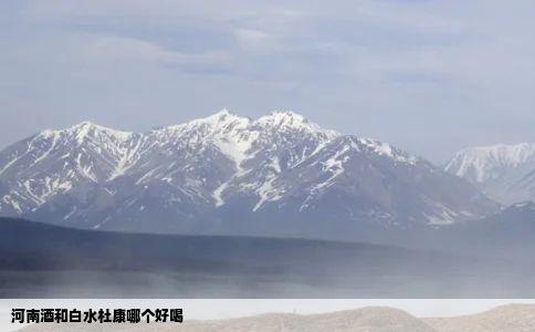 河南酒和白水杜康哪个好喝