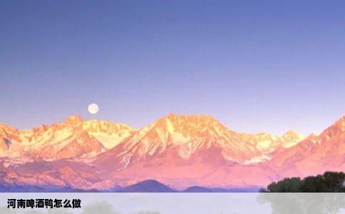 河南啤酒鸭怎么做