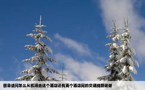 很急请问怎么从机场去这个酒店还有两个酒店间的交通线路谢谢