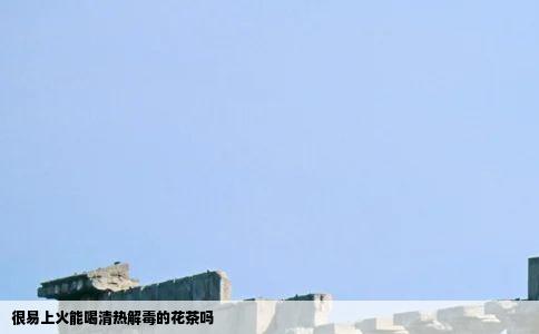 很易上火能喝清热解毒的花茶吗