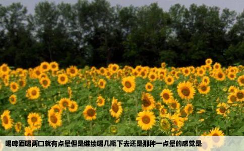 喝啤酒喝两口就有点晕但是继续喝几瓶下去还是那种一点晕的感觉是