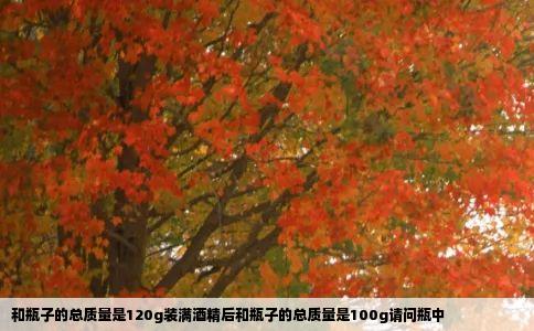 和瓶子的总质量是120g装满酒精后和瓶子的总质量是100g请问瓶中