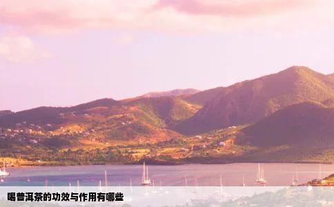 喝普洱茶的功效与作用有哪些