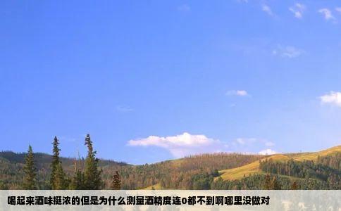 喝起来酒味挺浓的但是为什么测量酒精度连0都不到啊哪里没做对