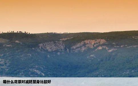 喝什么花茶对减肥塑身比较好