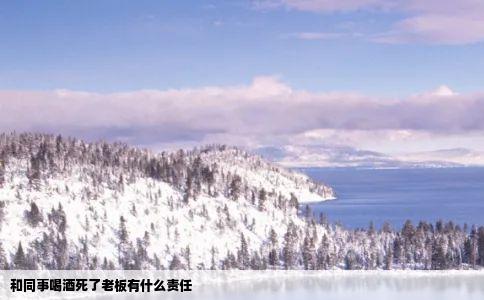 和同事喝酒死了老板有什么责任