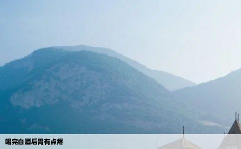喝完白酒后胃有点疼