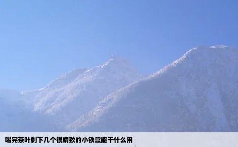 喝完茶叶剩下几个很精致的小铁盒能干什么用
