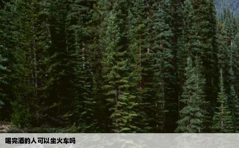 喝完酒的人可以坐火车吗