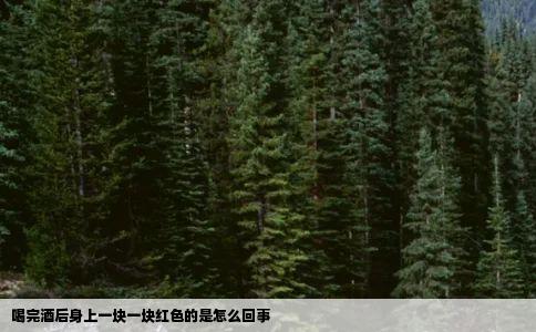 喝完酒后身上一块一块红色的是怎么回事