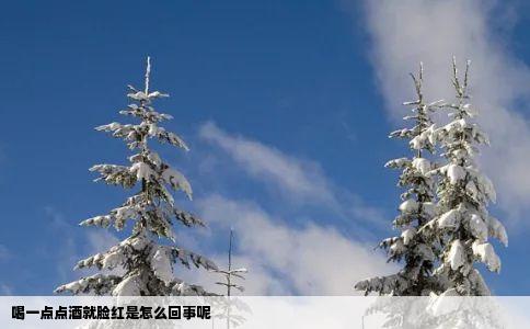 喝一点点酒就脸红是怎么回事呢