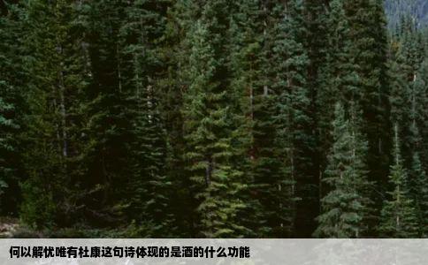 何以解忧唯有杜康这句诗体现的是酒的什么功能