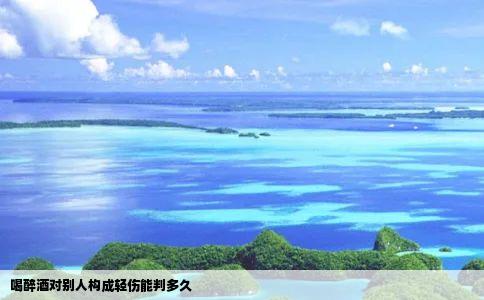 喝醉酒对别人构成轻伤能判多久