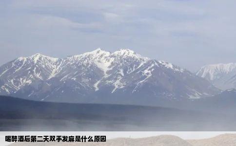 喝醉酒后第二天双手发麻是什么原因