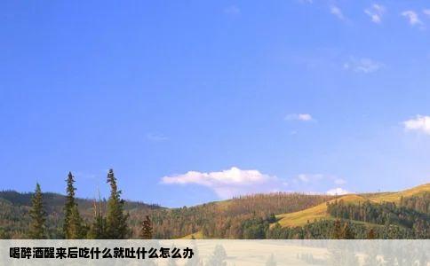 喝醉酒醒来后吃什么就吐什么怎么办