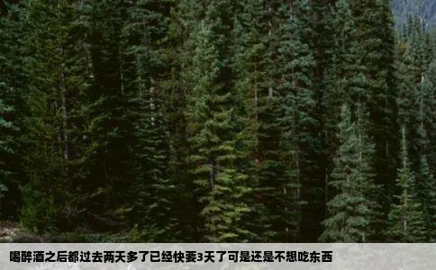 喝醉酒之后都过去两天多了已经快要3天了可是还是不想吃东西