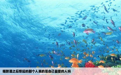 喝醉酒之后想起的那个人真的是自己最爱的人吗