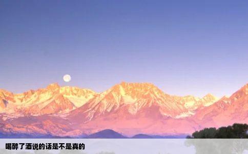 喝醉了酒说的话是不是真的